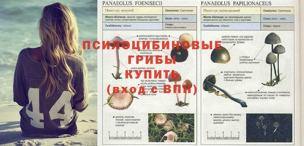 амфетамин Покачи