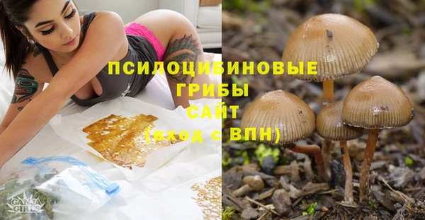 тгк Абдулино