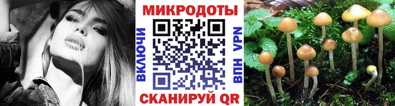 гидра маркетплейс  Ипатово  Псилоцибиновые грибы GOLDEN TEACHER 